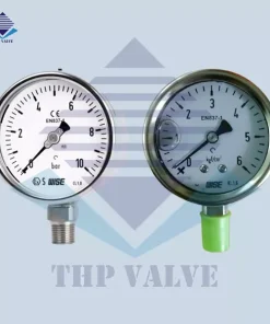 Đồng hồ đo áp suất Wise P252