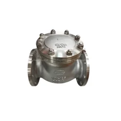 Van 1 chiều lá lật wonil DN125