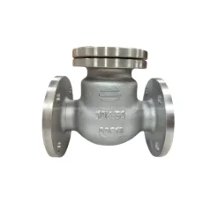 Van một chiều lá lật DN50 Wonil inox nối bích