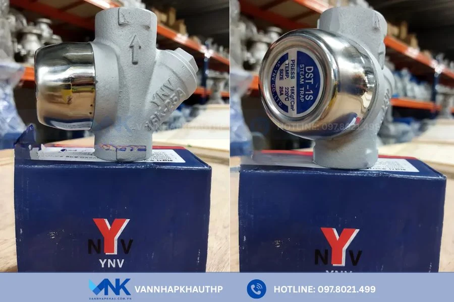 Bẫy hơi đồng tiền YNV Hàn Quốc