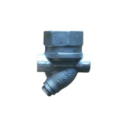 Bẫy hơi đồng tiền Tung lung