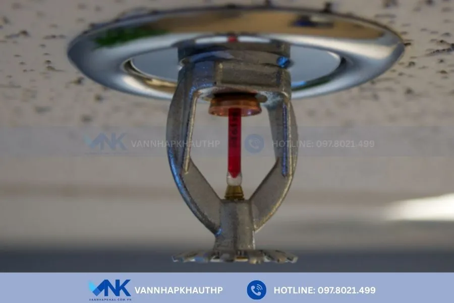 Đầu phun chữa cháy Sprinkler hướng xuống