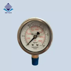 Đồng hồ đo áp suất có dầu