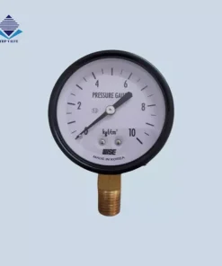 Đồng hồ đo áp suất Wise P110