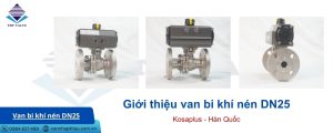 giới thiệu van bi khí nén dn25