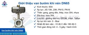 giới thiệu van bướm khí nén dn65