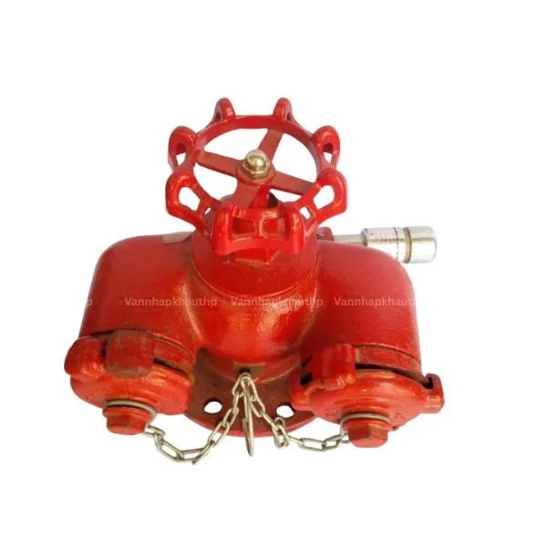 Họng tiếp nước chữa cháy 2 cửa