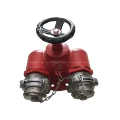 Họng tiếp nước chữa cháy 2 cửa