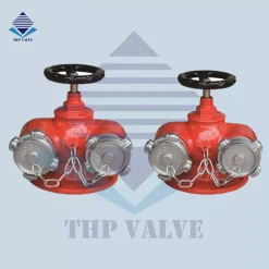 Họng tiếp nước chữa cháy 2 cửa