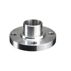 Mặt bích cổ hàn lồng