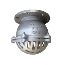 Rọ bơm Trung Quốc