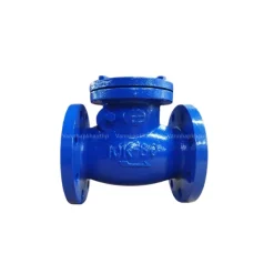 Sản phẩm van 1 chiều lá lật gang wonil hàn quốc