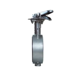 Van bướm tay gạt inox