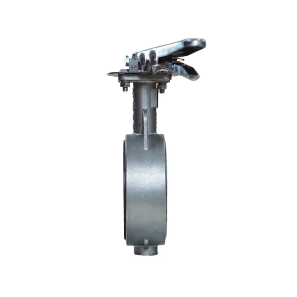 Van bướm tay gạt inox