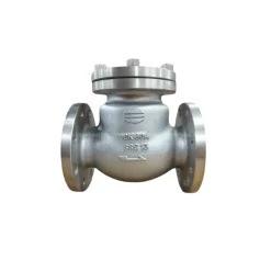 Van một chiều lá lật DN80 Wonil