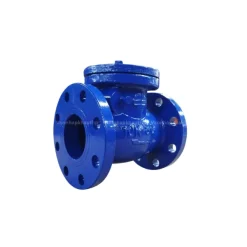 Van một chiều lá lật DN80 Wonil