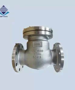 Van 1 chiều lá lật DN250