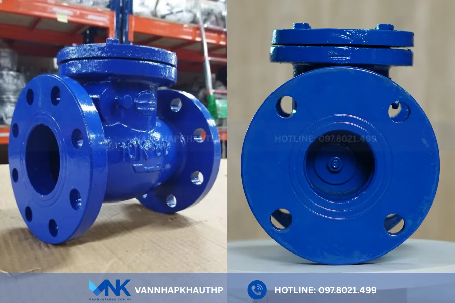 Van một chiều lá lật DN80 Wonil