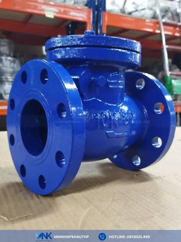 Van 1 chiều lá lật GANG DN80 Wonil