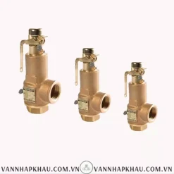 Hình ảnh van an toàn hơi nóng YNV