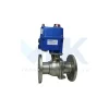 Van bi điều khiển điện có mắt báo giám sát