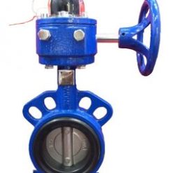 Van bướm tín hiệu Hàn Quốc