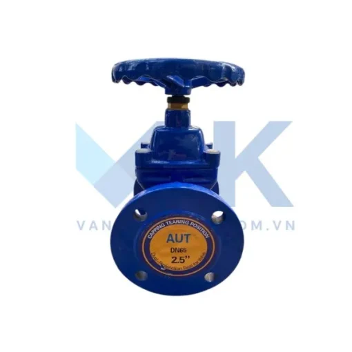 Van cổng AUT - Ảnh 4