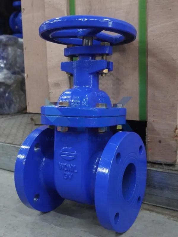 Van cổng gang tay quay