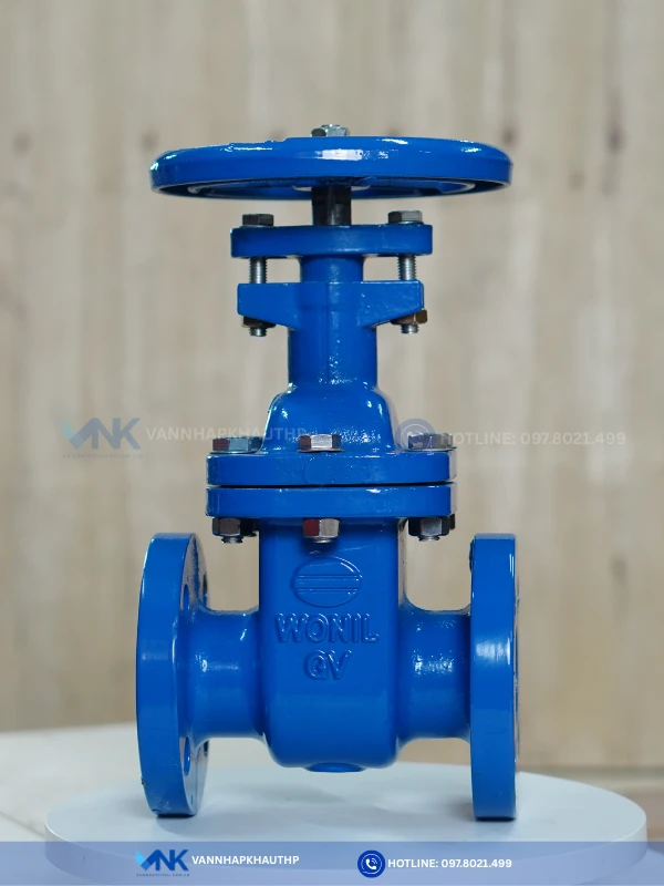 Van chặn ty chìm Wonil chất liệu gang