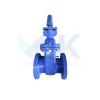 Van cổng ty chìm nắp chụp