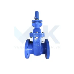 Van cổng ty chìm nắp chụp