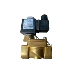 Van điện từ ODE 21YN4Z0T130-YC, 21YN6Z0T250-YC