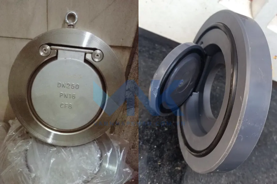 Hình ảnh thực tế của van một chiều cửa lật - Đĩa treo