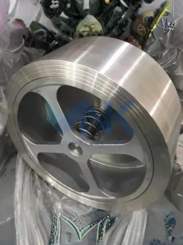 Van một chiều đĩa inox lò xo