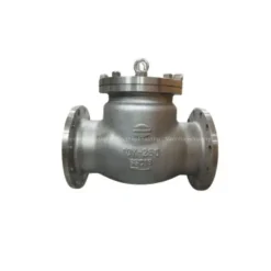 Van một chiều DN250 Wonil