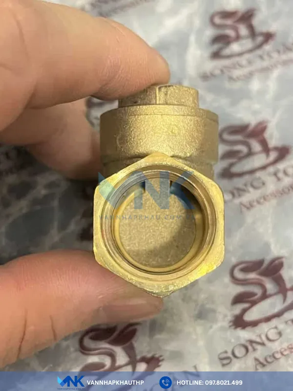 Van một chiều lá lật đồng lắp ren