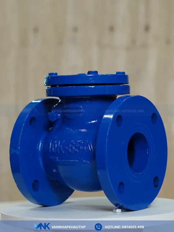 Van một chiều lá lật gang lắp bích Wonil