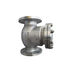 Van một chiều lá lật Wonil DN100