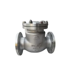 Van một chiều lá lật Wonil DN100