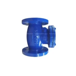 Van một chiều lá lật Wonil DN300