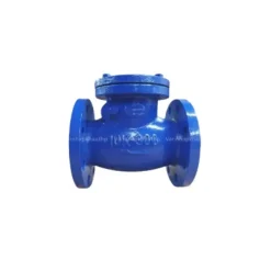 Van một chiều lá lật Wonil DN300