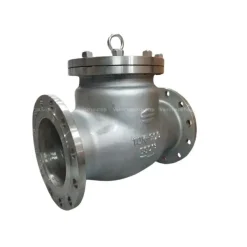 Van một chiều lá lật Wonil DN300