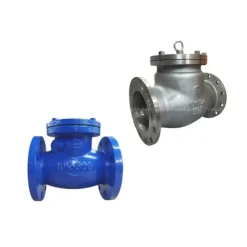 Van một chiều lá lật Wonil DN300