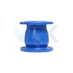 Van một chiều lò xo