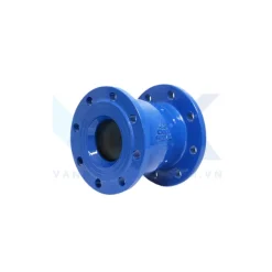 Van một chiều lò xo