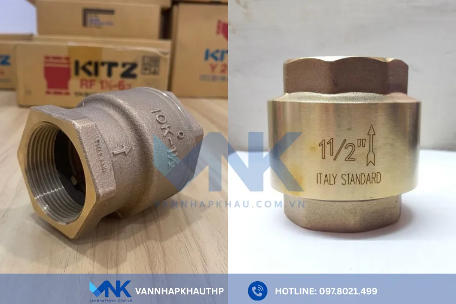 Van một chiều lò xo đồng