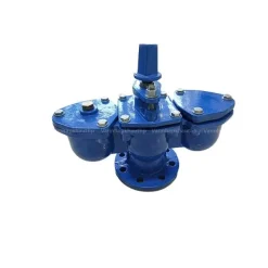 Van xả khí bầu đôi