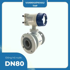 Đồng hồ DN80 Hansung