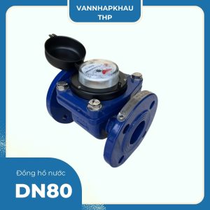 Đồng hồ nước Pmax DN80