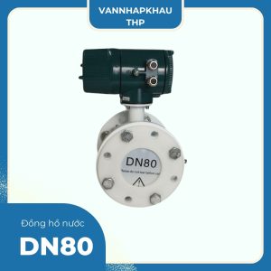 Đồng hồ DN80 Woteck